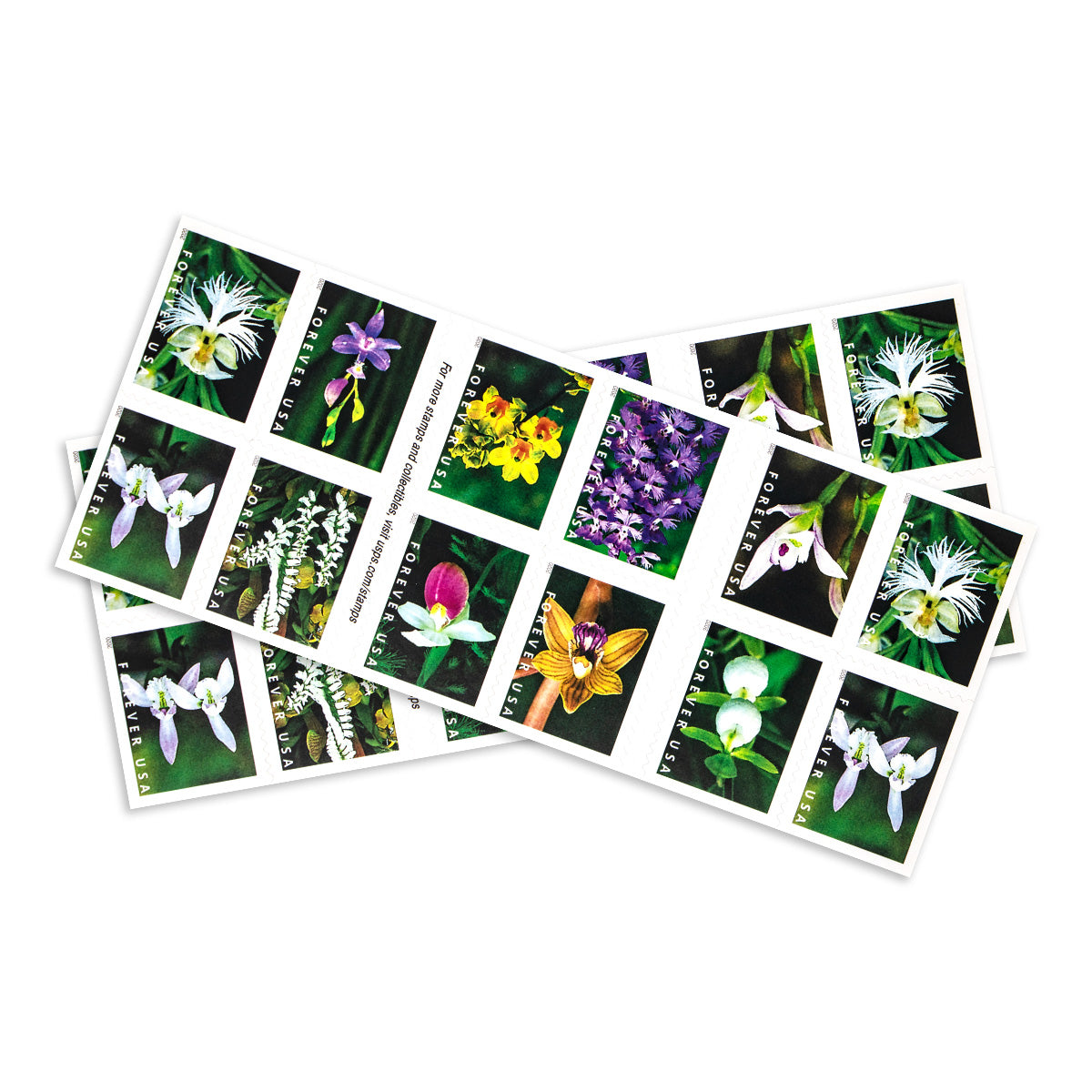 2020 Wild Orchids Forever First Class Postage Stamps