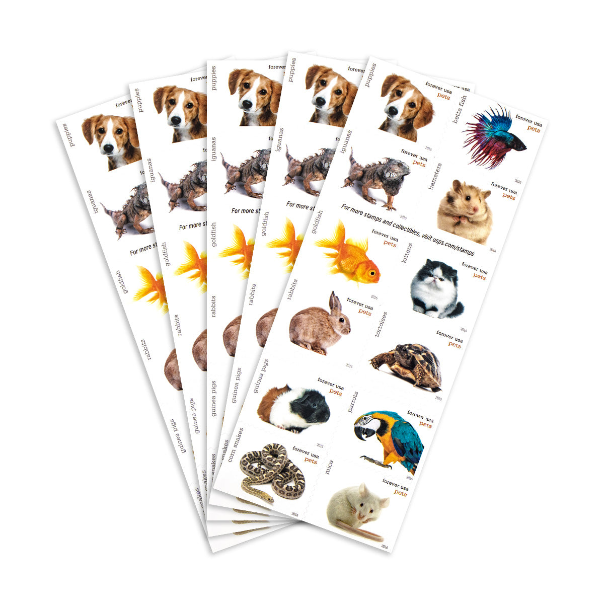 2016 Animals Forever First Class Postage Stamps