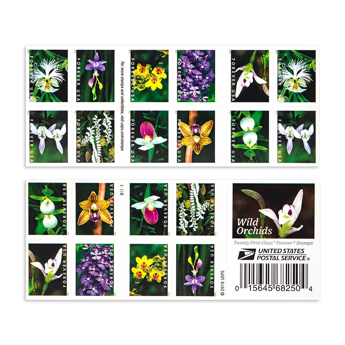 2020 Wild Orchids Forever First Class Postage Stamps