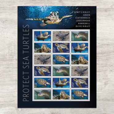 2024 Protect Sea Turtles Forever First Class Postage Stamps