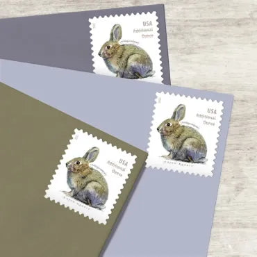 2021 Brush Rabbit Forever First Class Postage Stamps